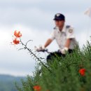 숨비소리 이미지