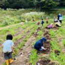 숲속자연유치원 이미지