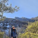 신상중학교 이미지