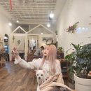 딸기애견미용실 | 홍대 미용실 스미쥬 탈색 염색 후기💗 3년간 했던 컬러 총정리(블루·핑크·보라)