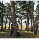 초당동주민센터 이미지