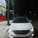 털보카모터스 이미지