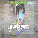 무량농장 | 제주도 애월 아기랑 아이랑 갈만한곳 새별프렌즈 제주 동물먹이 체험 먹이주러 또 와도 재미있지?