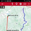 블루스카이 이미지