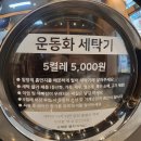 안산한대앞 셀프빨래방 이지워시 운동화빨래