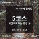 서연마을회관 | [제주도 올레길 5코스] 구간별 완주 후기③ : 위미1리복지회관~쇠소깍다리
