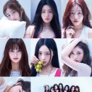 하트프리 이미지