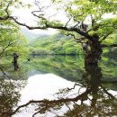 청송사기장 이미지