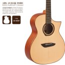 G520 | 중급 기타 (고퍼우드 G220 / G520 / G620) 중 선택장애..