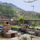 꽃차&약선차 이미지