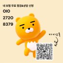 드림업 비상 태권도장 | 내돈내산 리투양말 크루삭스 솔직 후기🧦