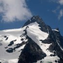 B/F Dog Talk Talk 이미지