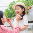 둥이농장 이미지