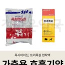 키우소농장 네이버블로그