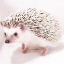 수성동물병원(일반동물병원) 이미지