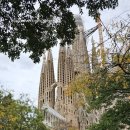 노틀담세탁 | [파이어족 유럽 한달 여행 23일차-크루즈 유럽 여행 ]-[바르셀로나 한해에 3회차 /파리 바르셀로나 몰타...