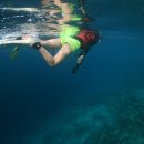 뮤소프트 이미지