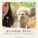 헬로앨리스마켓24 | 대구 근교 동물과 교감가능한 실내동물원, 울산 헬로우쥬