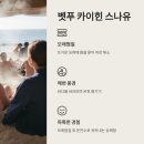 🌋 벳푸 온천: 일본 온천의 진수를 느낄 수 있는 완벽한 여행지