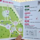 수변공원 (은빛개울공원) | 경기도 오산 아이와 가볼만한곳 고인돌공원 장미정원 장미꽃 봄꽃축제 2025 오해피 장미빛 축제 후기