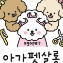 아가펫살롱 이미지