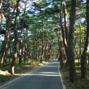 소나무풍경 - 김포시 양곡로373번길 61-26 | 소나무풍경