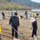 내동면시민텃밭 이미지