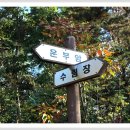 [스크랩] ＜팔공산 은해사 산내암자 단풍길 도보여행＞길동무프로그램 후기