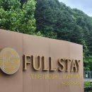 스테이펫 | [여행] 홍천 풀스테이 스테이펫 숙소 후기 | 솔직후기 | 내돈내산 후기