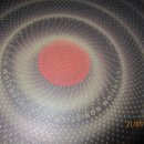 브라운,테팔 이미지