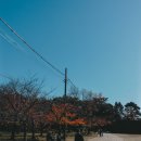 성보고등학교 | 2025년 12월 와카야마 여행 (1부- 와카야마 성, 기슈도쇼구, 와카우라텐만구 신사)