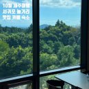 (주)신창타이어 | 🍊25년 10월 | 가을 제주일기 3일차 [오랑우탄면사무소/에이디디코리아조경공사/카페토은/새별레져ATV...