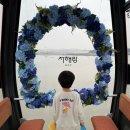 신비카 | 경기도 당일치기 여행 가능한 서해랑 제부도 해상케이블카 아이와 다녀 온 후기