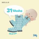 (주)아성다이소 인천신기사거리점 | 뽀물이 31주차 아기 특징 정보&amp;임산부 일기 일상들&amp; 임신 31주차 태동 배크기 증상 건강 상태