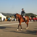 <계룡> 군인들의 행진----- 육해공해병대 의장대 행진하는 군 문화축제의 현장 이미지