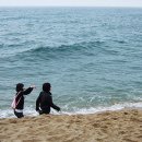 정동진역 이미지