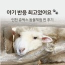 서창남순환로216번길1L | 인천 쥬벅스 후기, 아기랑 가볼만한 인천 송도 실내데이트 동물체험