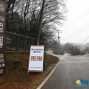 파주삼릉 이미지