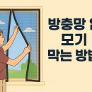 방충망 없이도 모기 막는 방법?! 초간단 여름철 벌레 차단 꿀팁