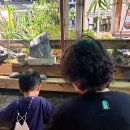 밀양가산돼지국밥 이미지