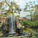 타이거벨리 이미지