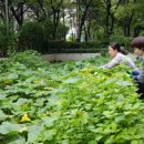 오이도 경로당 이미지