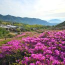 포시즌 황매산 호스텔 | 황매산 철쭉축제 테슬라 차박으로 줄 서지 않고 다녀 온 후기