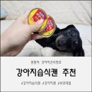 강아지사랑 | 보양대첩 강아지캔 ｜냄새부터 반응 폭발! 노견도 사랑한 강아지습식캔 후기