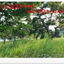 영락공원(1추모관) 이미지