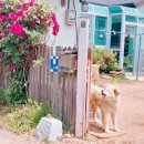 금척마을 이미지