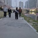 수선화메디칼