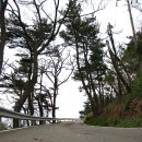 아차도민박 이미지