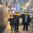삼희식품 | [안양롤러장 추천] 고고랜드 안양범계점 롤러장 체험기