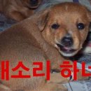 뚝심숯불갈비 이미지